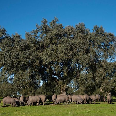 Casa Rural Dehesa De Solana Herrera de Alcántara Esterno foto
